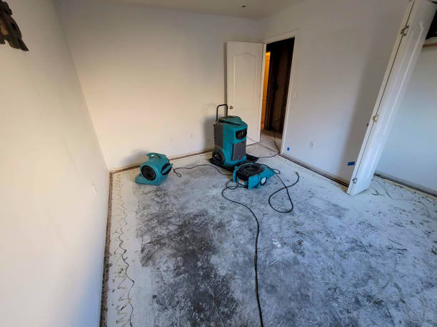 Best Fire Damage Restoration  in Marina, CA