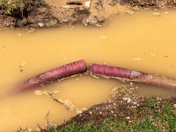 Best Flood damage cleanup  in Marina, CA